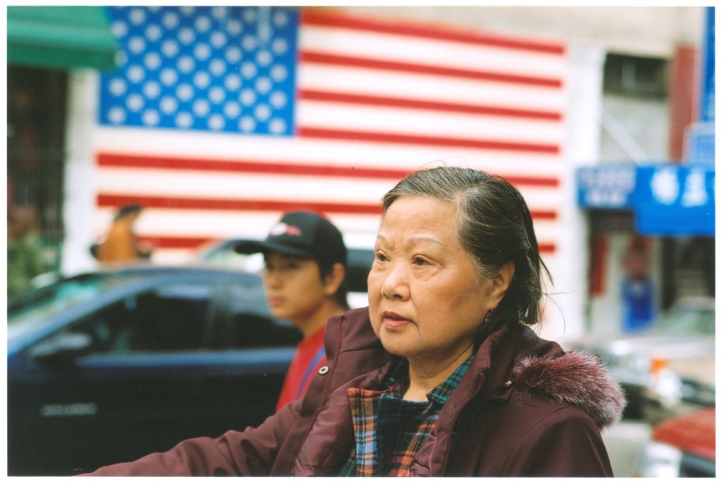 The Asian American Electorate in California (2015)